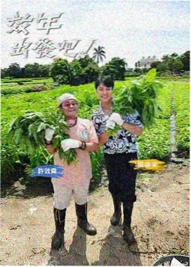 神马电影院在线观看 王牌对王牌